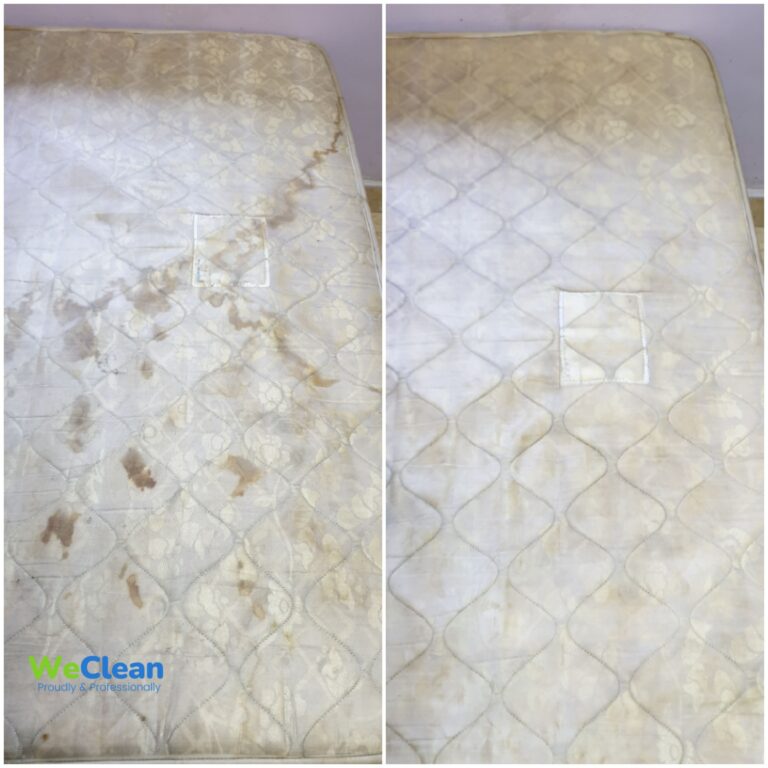 20241227_101354